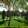 عکس های زیبای شهرقدس